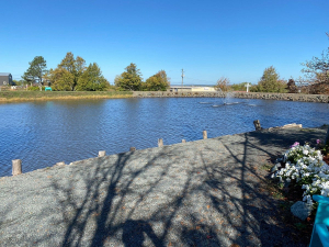 springhill pit pond walking
