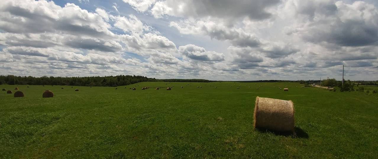 Agriculture